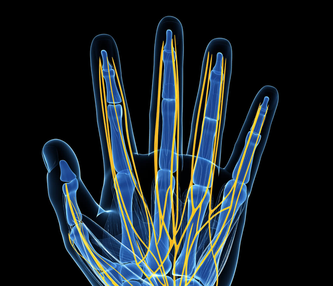 hand nerves